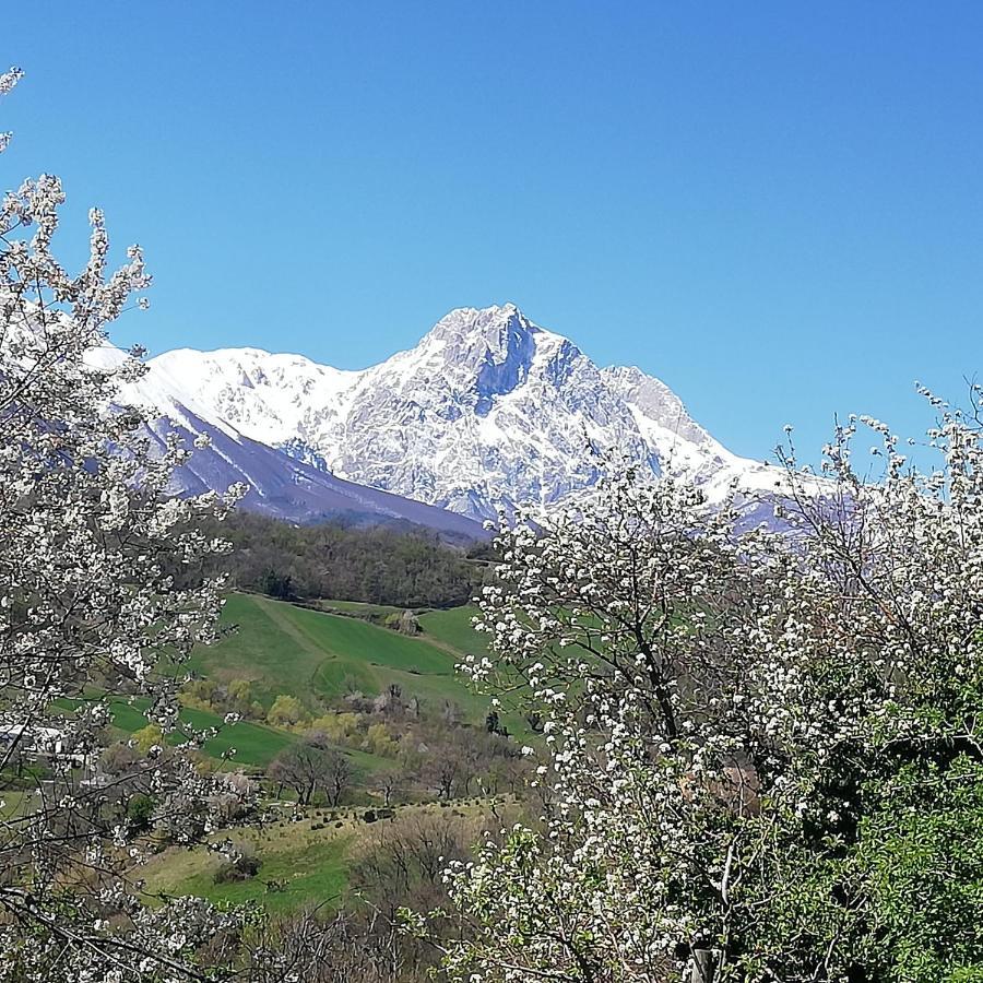 B&B Le Ginestre Castelli Kültér fotó