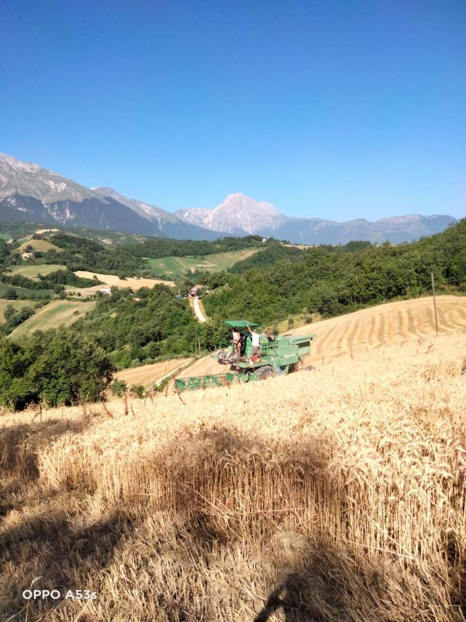 B&B Le Ginestre Castelli Kültér fotó