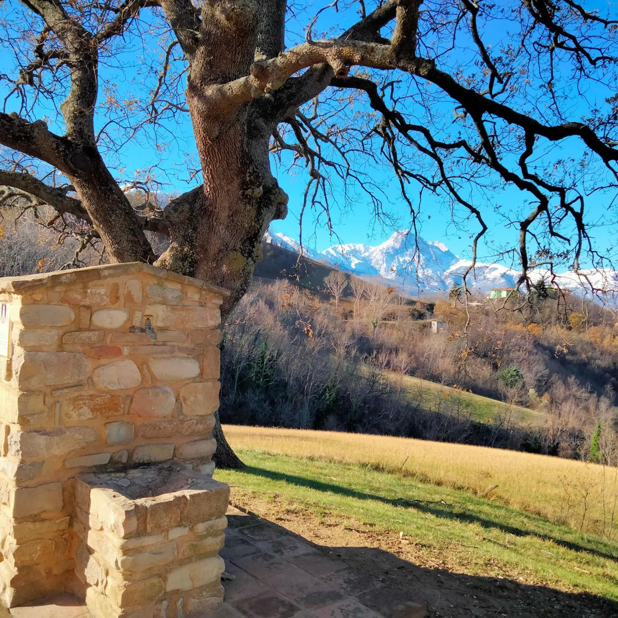 B&B Le Ginestre Castelli Kültér fotó